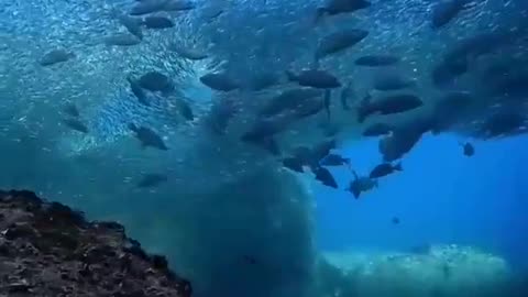 The depths of the sea