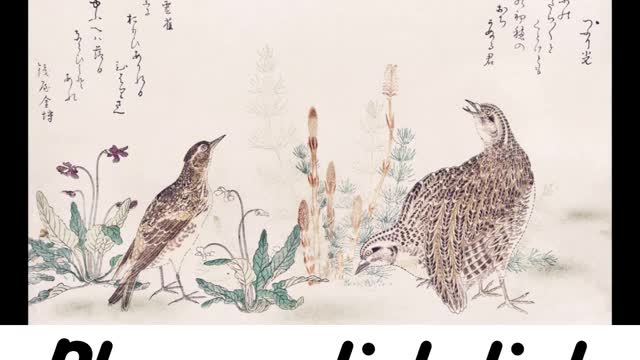 Classic Japanese Art 🐱🐉Volume 1: The Best of Utamaro Kitagawa #shorts