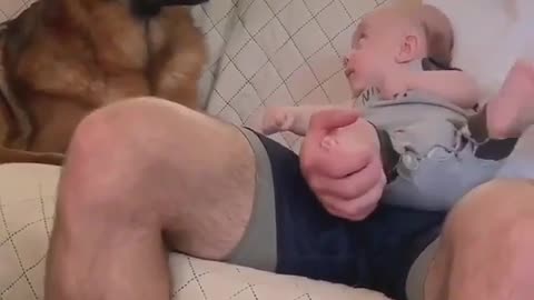 German shepard giving kisses to newborn