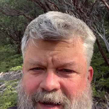 Turning a Forest into a farm