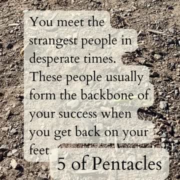 Knight and Fools In Nature With PathandTarot