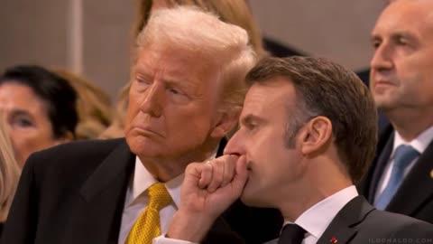 Notre Dame & Macron's Dame