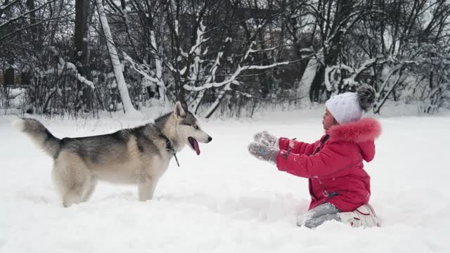 Playing in the snow with my dog