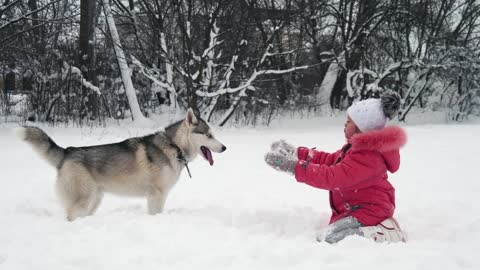 Playing in the snow with my dog