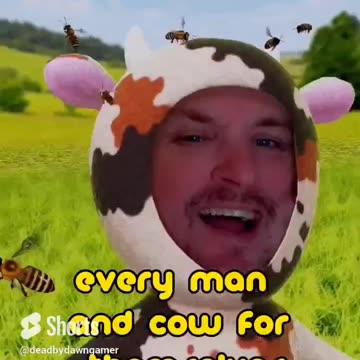 what is that Watch and see