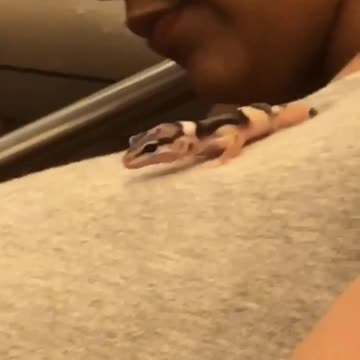 Woman subway lizard crawling on her chest