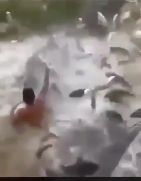 Border closures to stop Omicron variant 😂