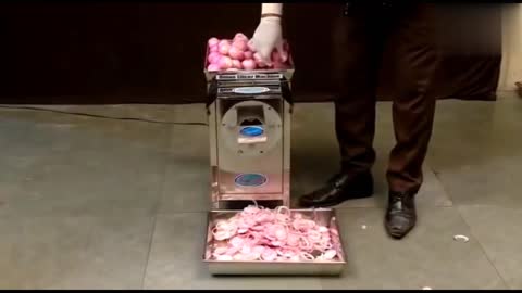 Onion slicer machine