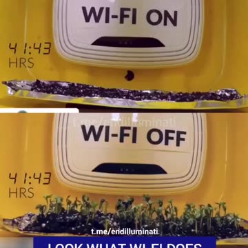 WI FI effect on plants