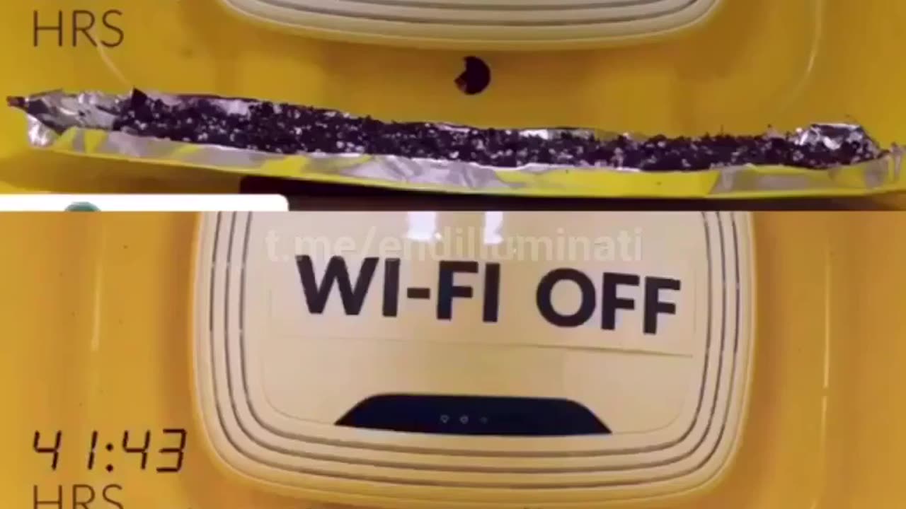 WI FI effect on plants