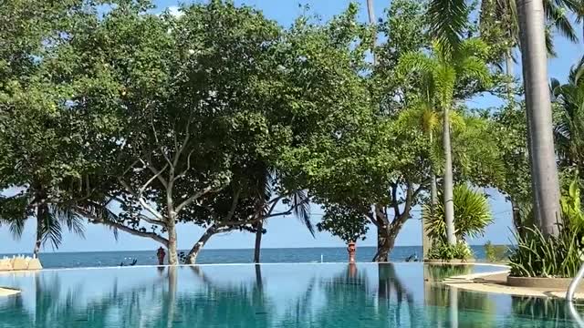 Stunningly beautiful swimming pool