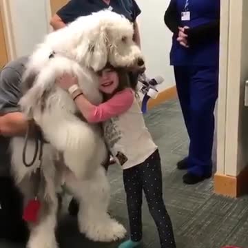 Dog and cut girl 👈😂