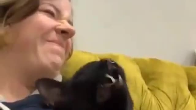 Funny cat sneeze badly on his owner