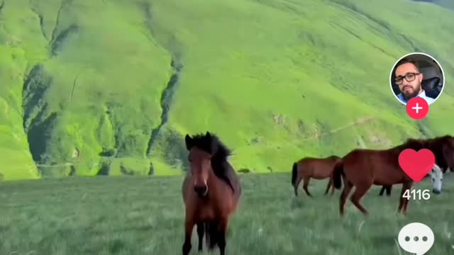 Albania