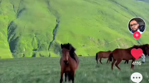 Albania