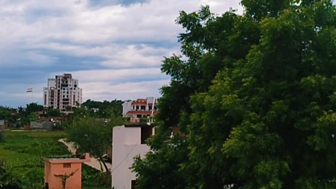 Nature