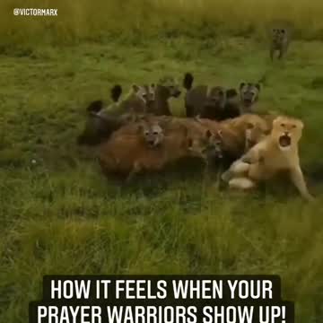 Omg 😱 it's very Terrible Wath this