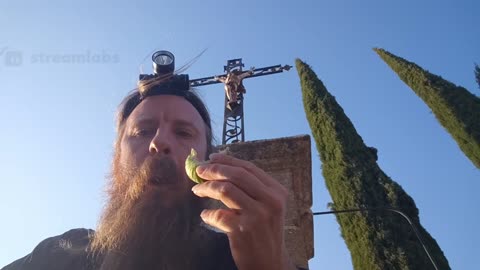 2022-08-05 (2) - rangement de la voiture - Twitch Decheterie