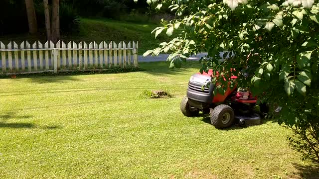 Doberman sees a strange sight, wait for it