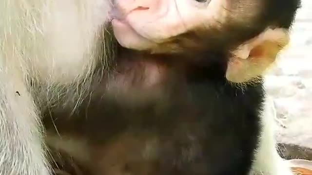 His Name is Biden i Love him <3 * LOOK HIS EYES*