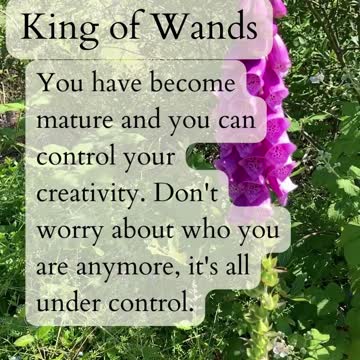 PathandTarot in Nature With 10 Cups.