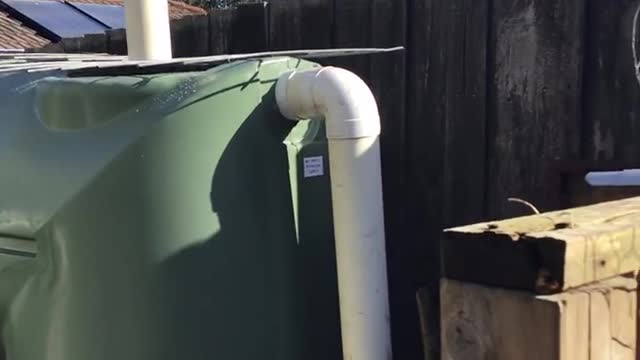 Rain water tank basic install, going off grid in the burbs.