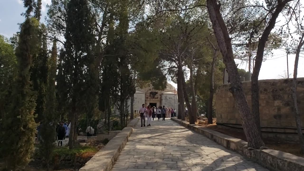 Trees are very useful for public heath