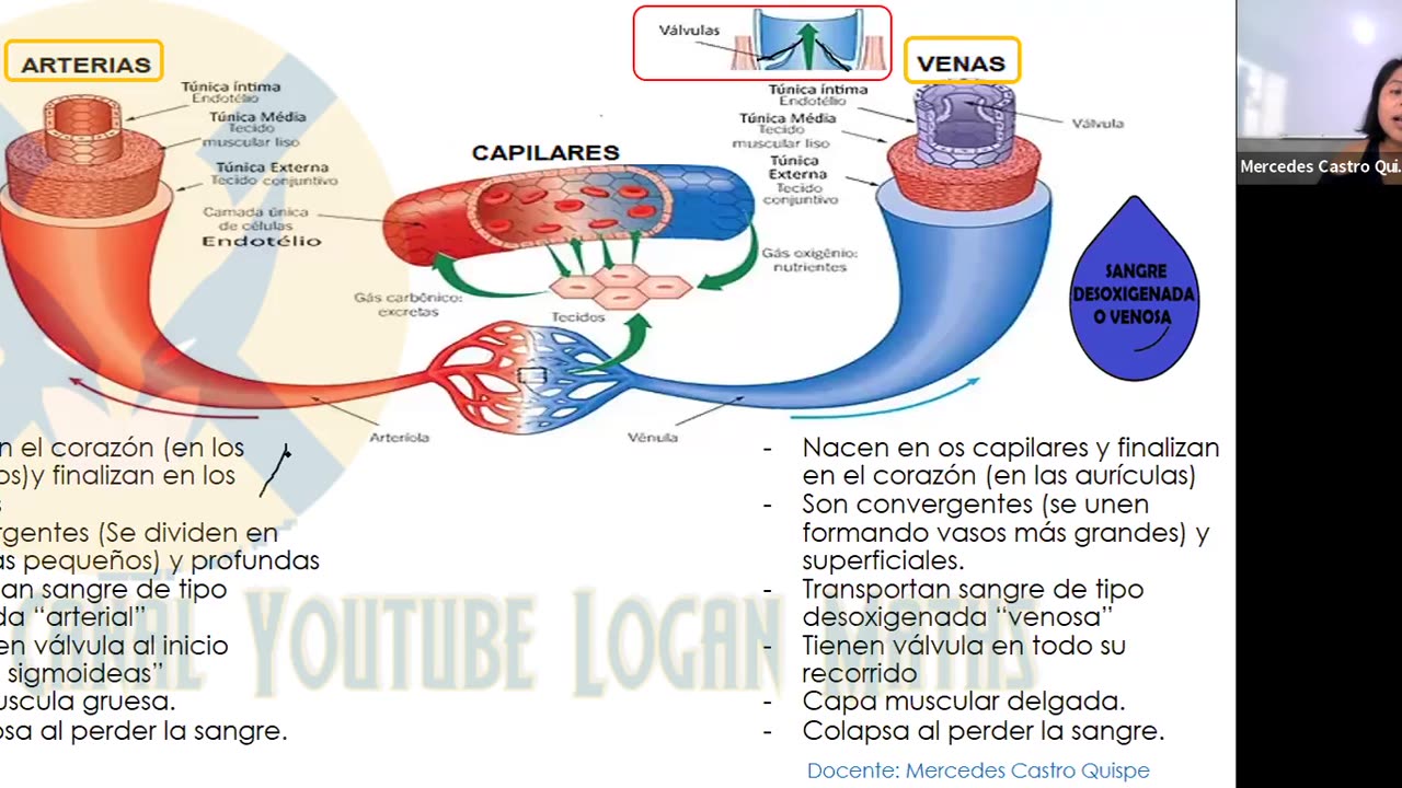 REPASO PAMER 2022 | Semana 04 | Biología