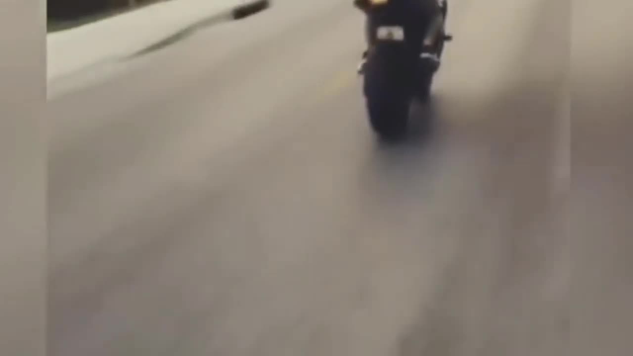 Like a Boss