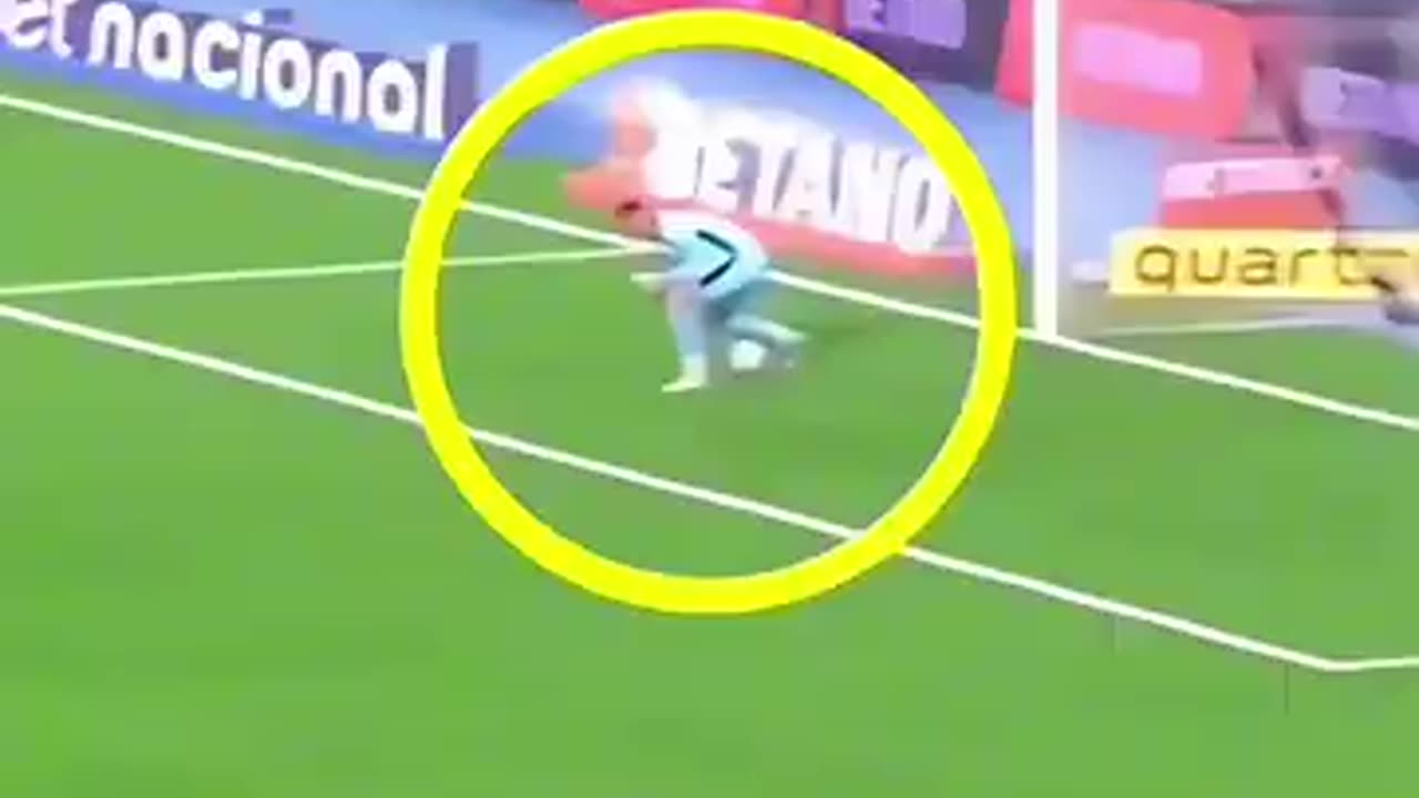 100% Funny Moments in Football & Goalkeeper Mistakes in Football