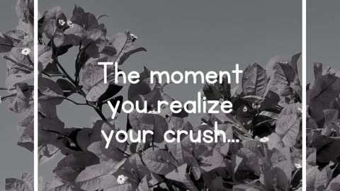 The moment you realize your crush...