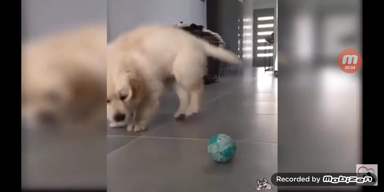 can he catch the ball?