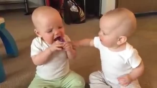 Twin baby girls fight over pacifier