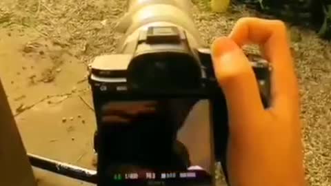 It takes time to take a good photo.