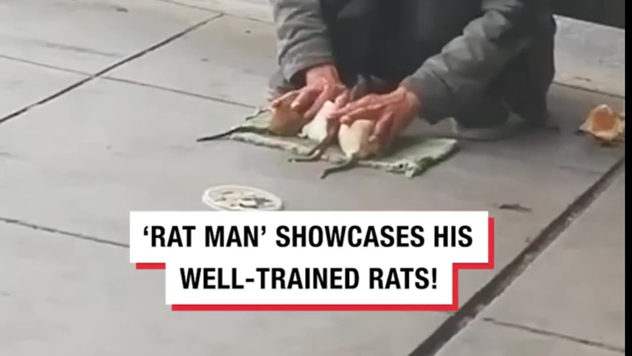 rat man