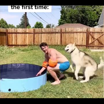 Funny Animal Videos 2022 😂 - Best Dogs And Cats Videos 😺😍