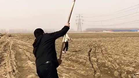 What a shot