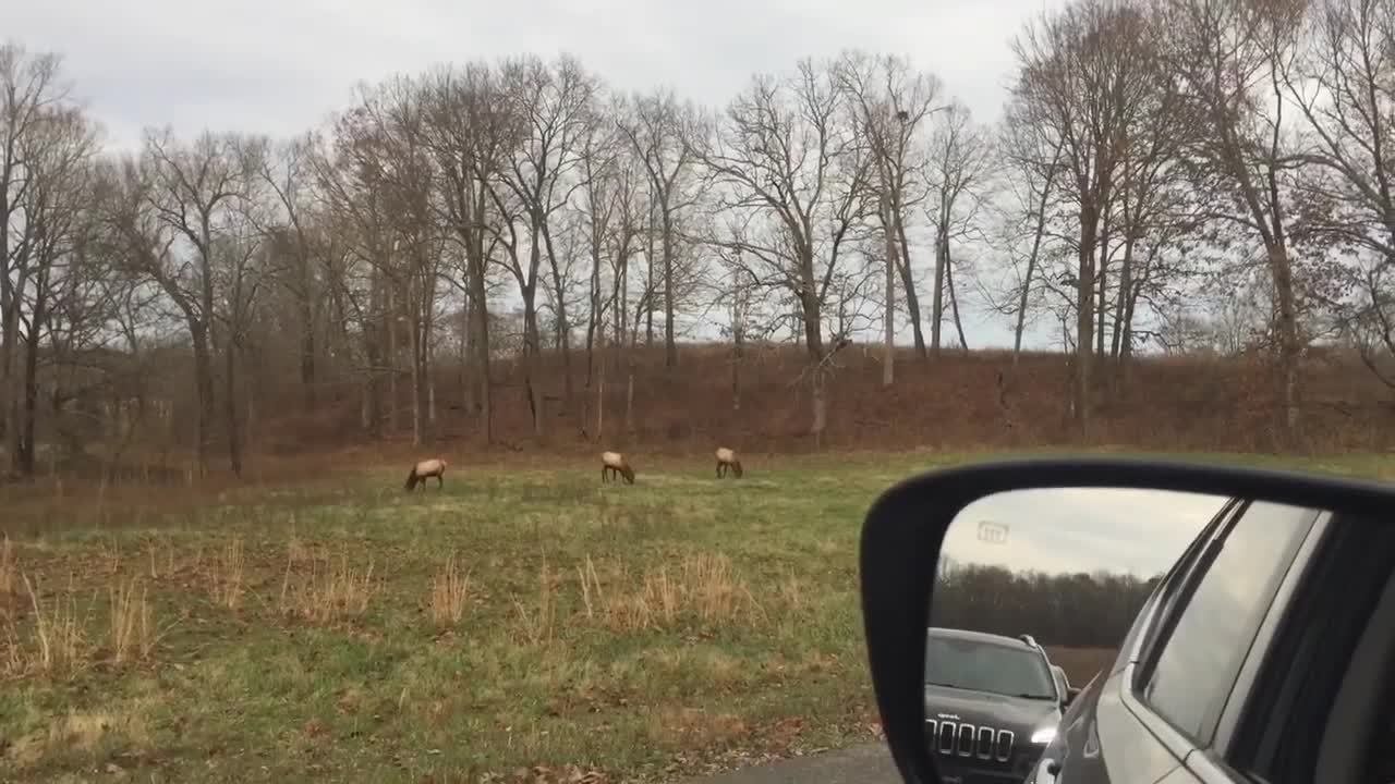 Lake Cumberland Kentucky