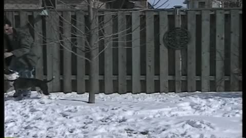 CANADIAN SNOW DANCE