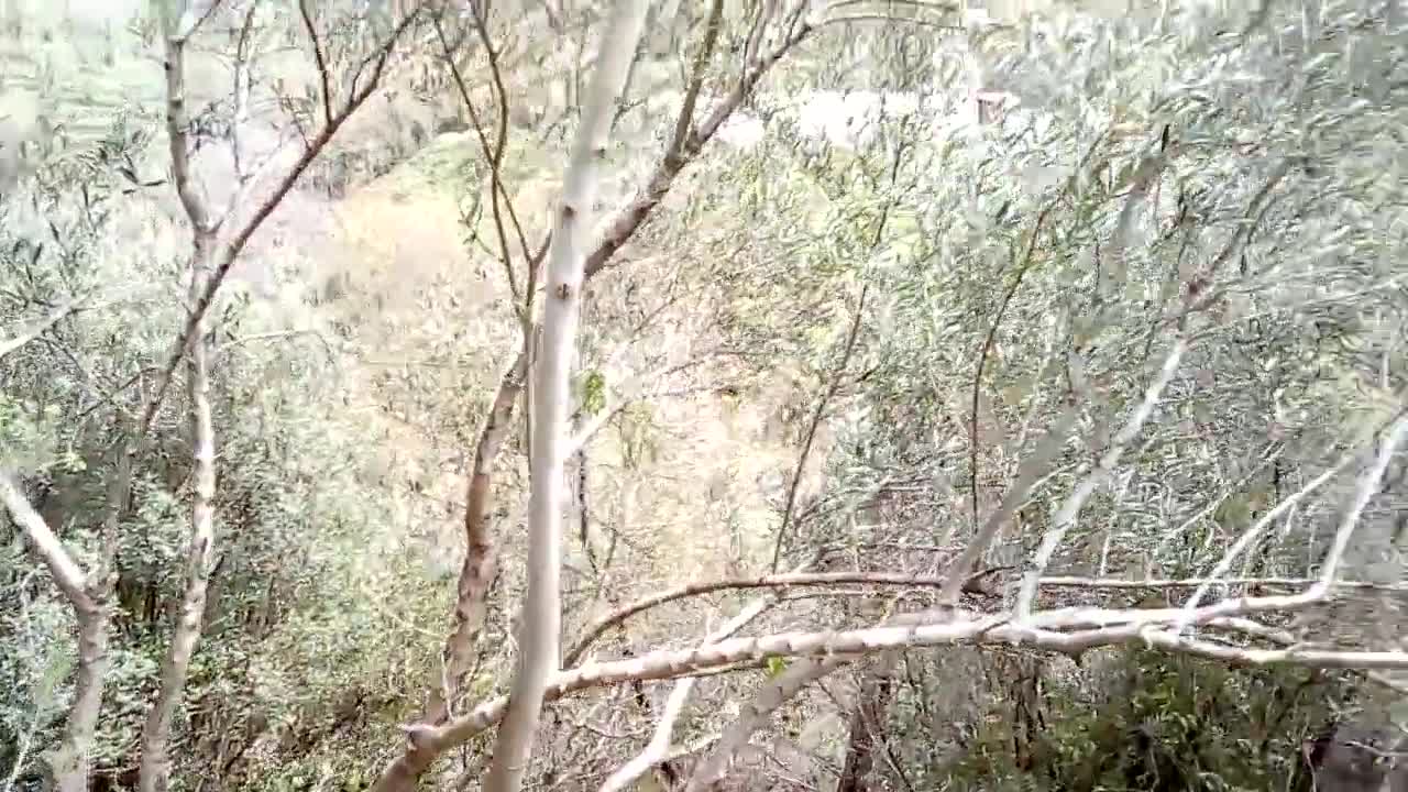 ΚΥΡΙΕ ΑΠΟ ΣΗΜΕΡΑ ΕΜΠΙΣΤΕΥΟΜΑΙ ΜΟΝΟ ΕΣΕΝΑ