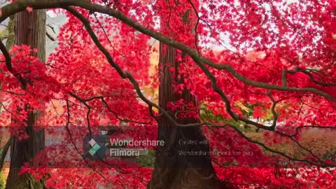 Colorful Sights Of Autumn - Feeding The Eyes A wealth Of Multiple Colors