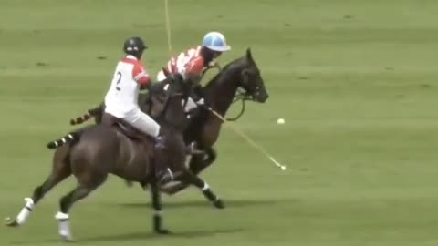 Great polo game