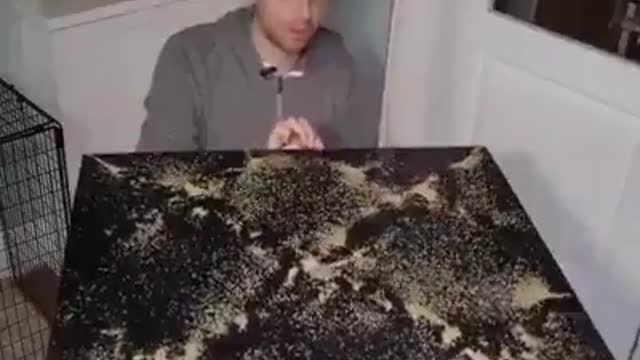 The art of drawing on the table