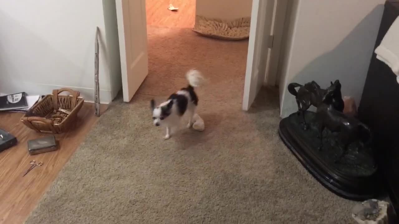 World record sock snatch