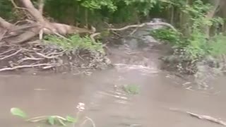 Lluvias generan emergencia en Hatillo de Loba