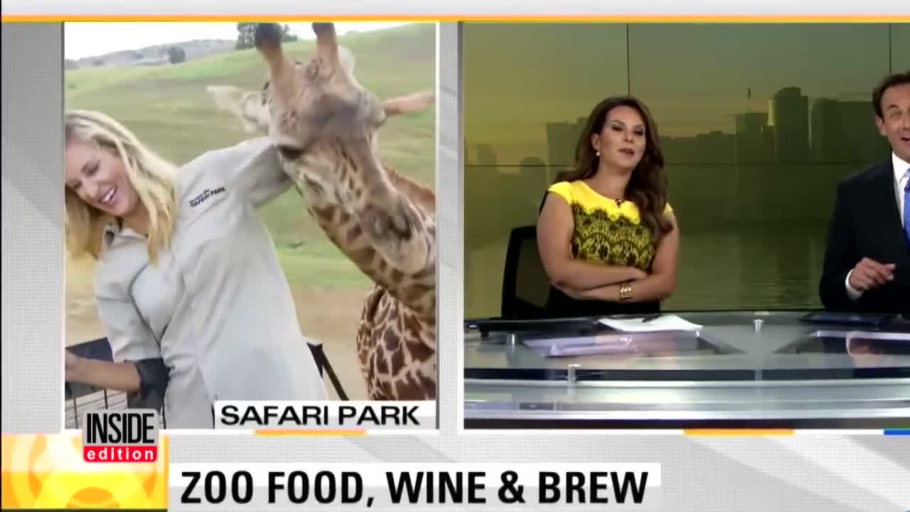 Watch Frisky Giraffe Distract News Reporter During Live Report