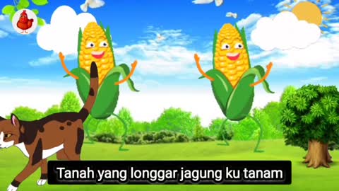 Lagu paud - Menanam jagung di kebun kita