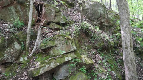 Cahaba River Bluffs Hiking Trails. Brierfield, AL. 4-7-2024.