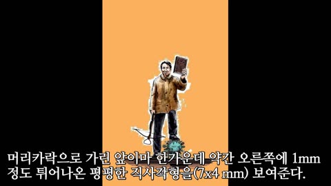 [2024.10.15] 킬러주사 3차 이상 접종 친구* 이마의 뼈 #석궁김명호