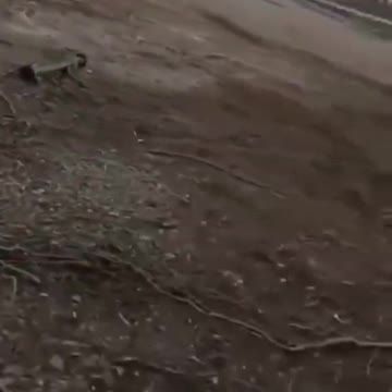 Chechen Soldiers are Useless